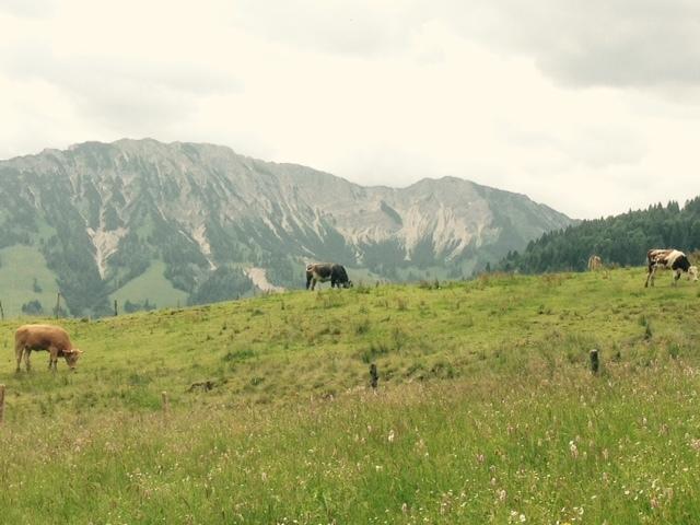 Ferienwohnung Himmel Oberstaufen Room photo